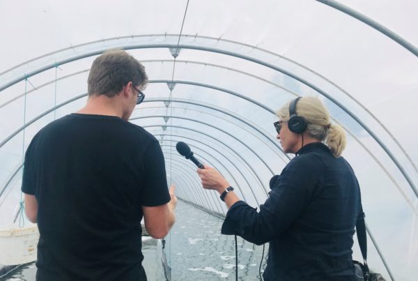 Radio interview at Tahi Spirulina farm