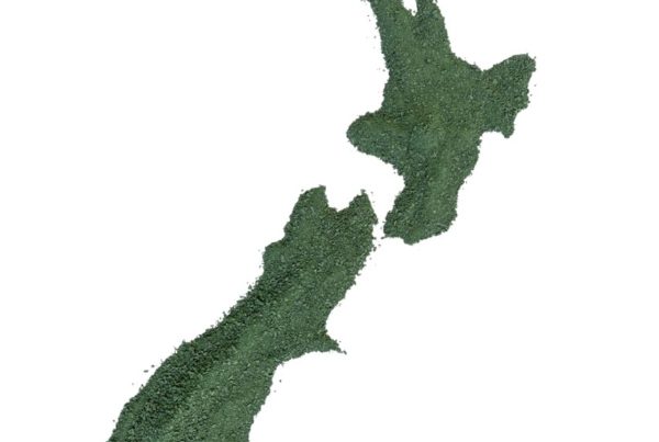 Outline of NZ map made out of green spirulina powder