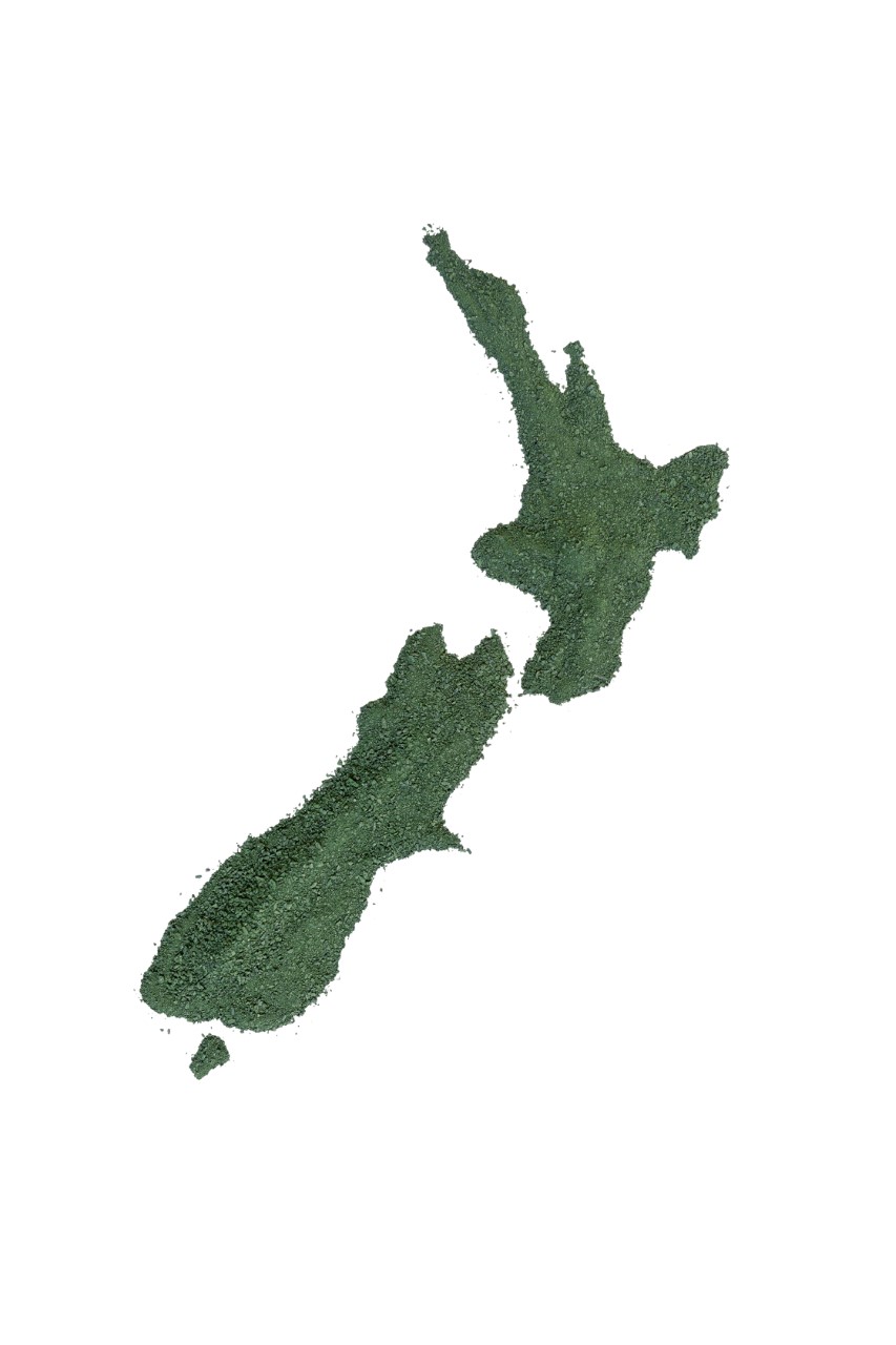 Outline of NZ map made out of green spirulina powder